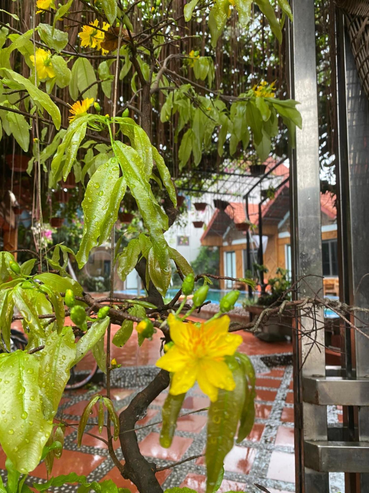 Tam Coc Charming Bungalow Ninh Binh Esterno foto