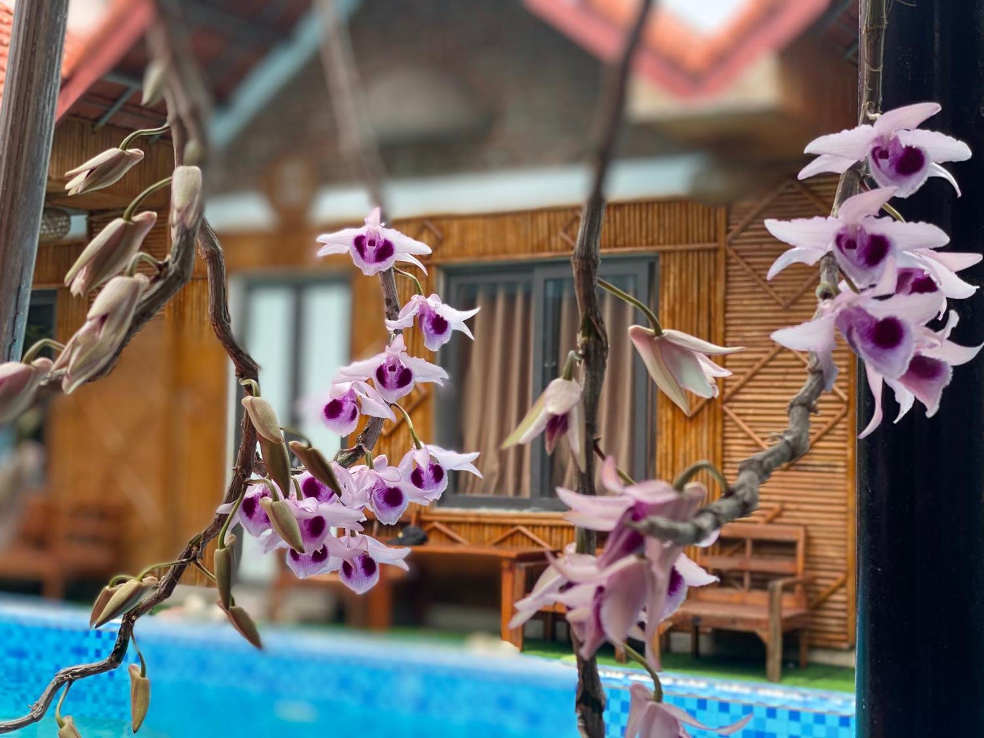 Tam Coc Charming Bungalow Ninh Binh Esterno foto