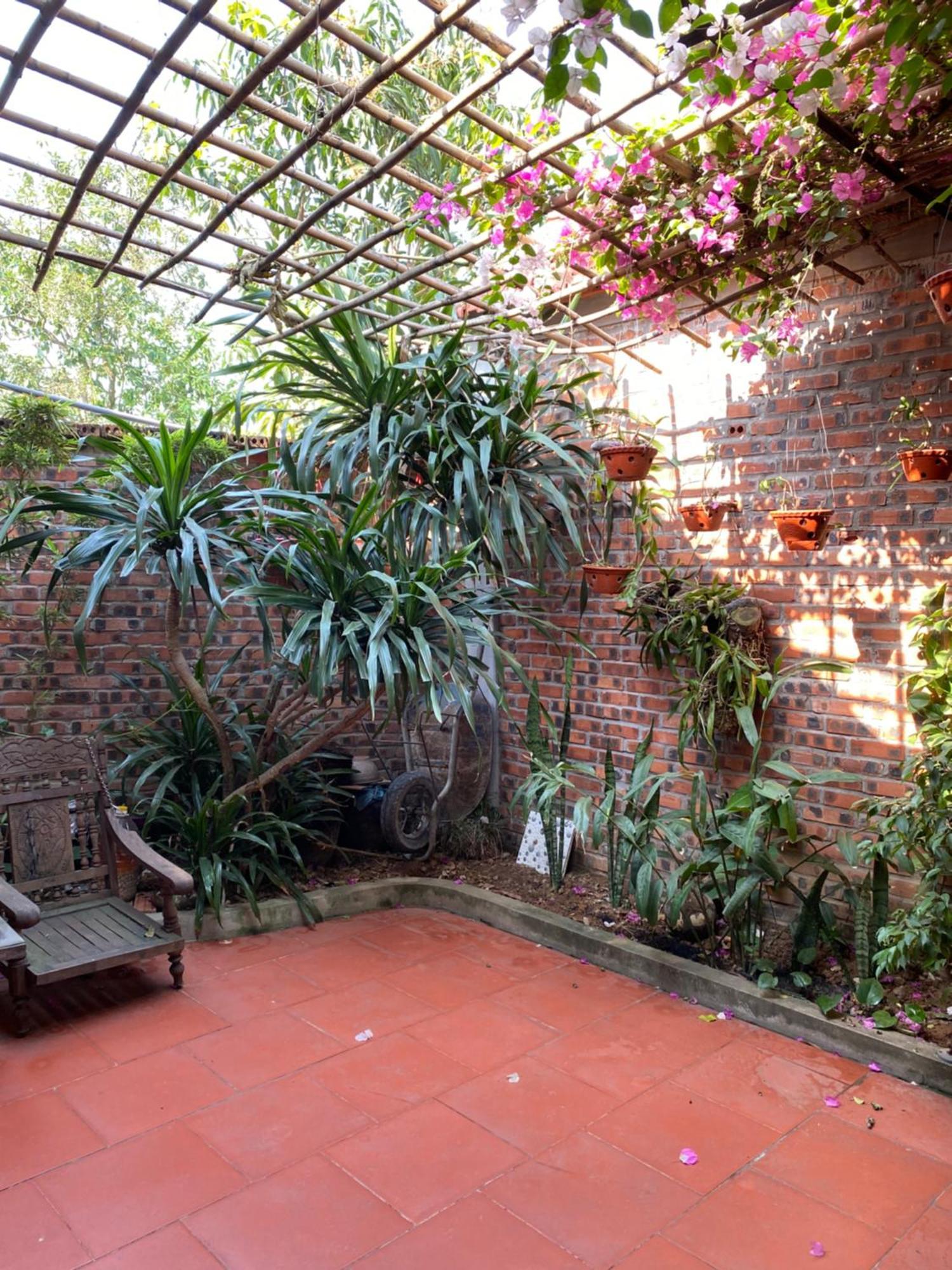 Tam Coc Charming Bungalow Ninh Binh Esterno foto